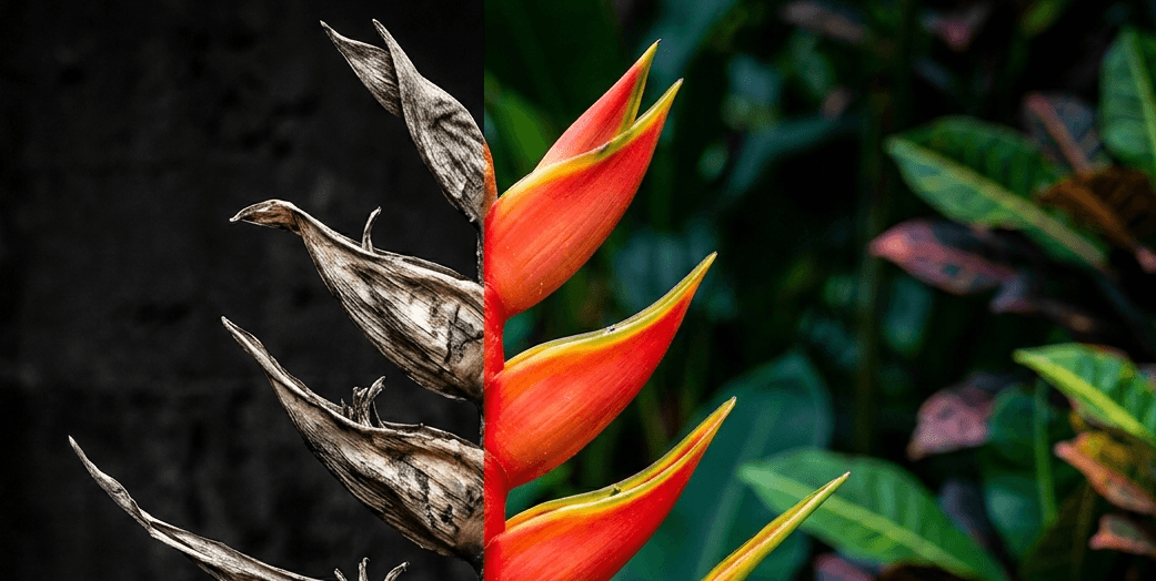 Feature visual for Mensagens